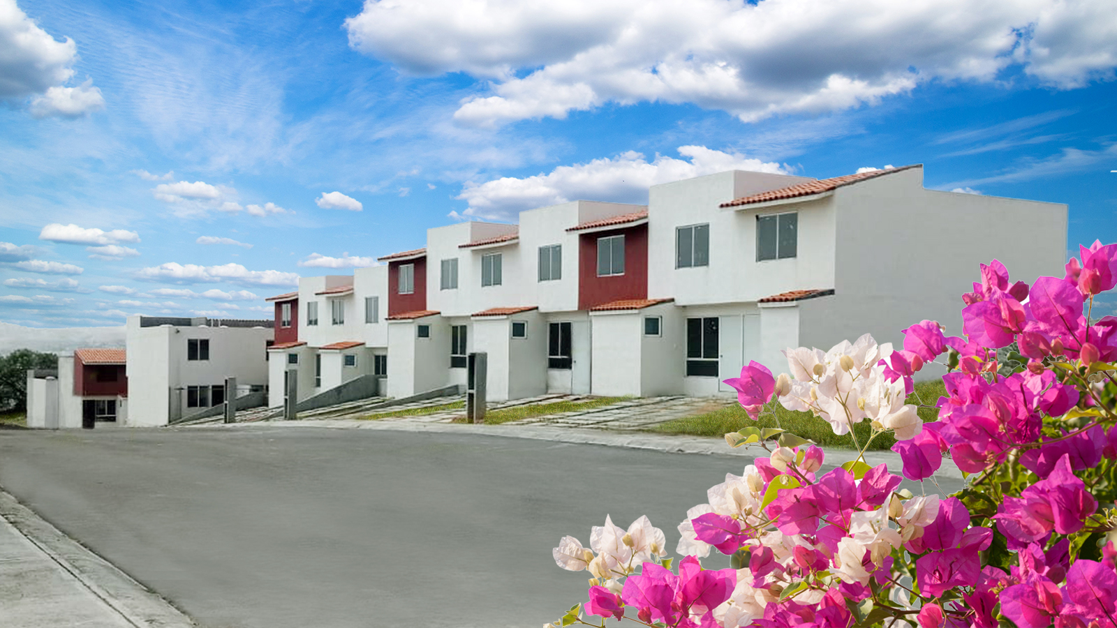 WhatsApp Image 2024-06-18 at 10.14.33 AM-retocada-2