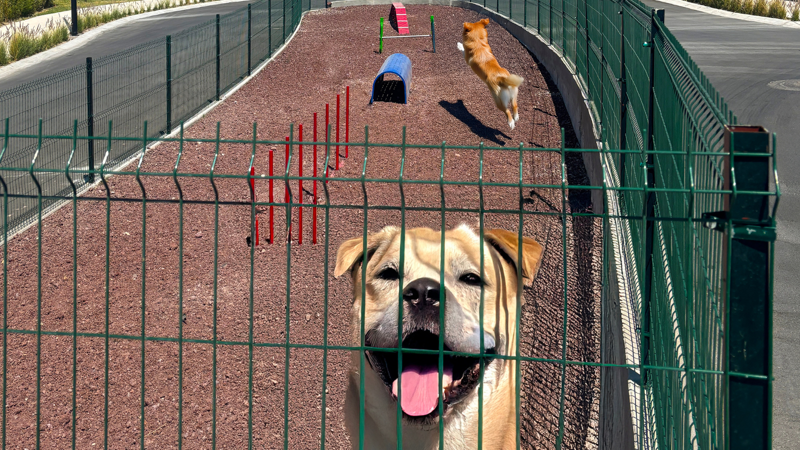 Diseño sin título (25)